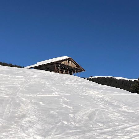 Casa D'Ambros Lägenhet Santo Stefano Di Cadore Exteriör bild